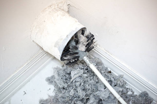 Air Duct Mold Removal in Ashburn, VA
